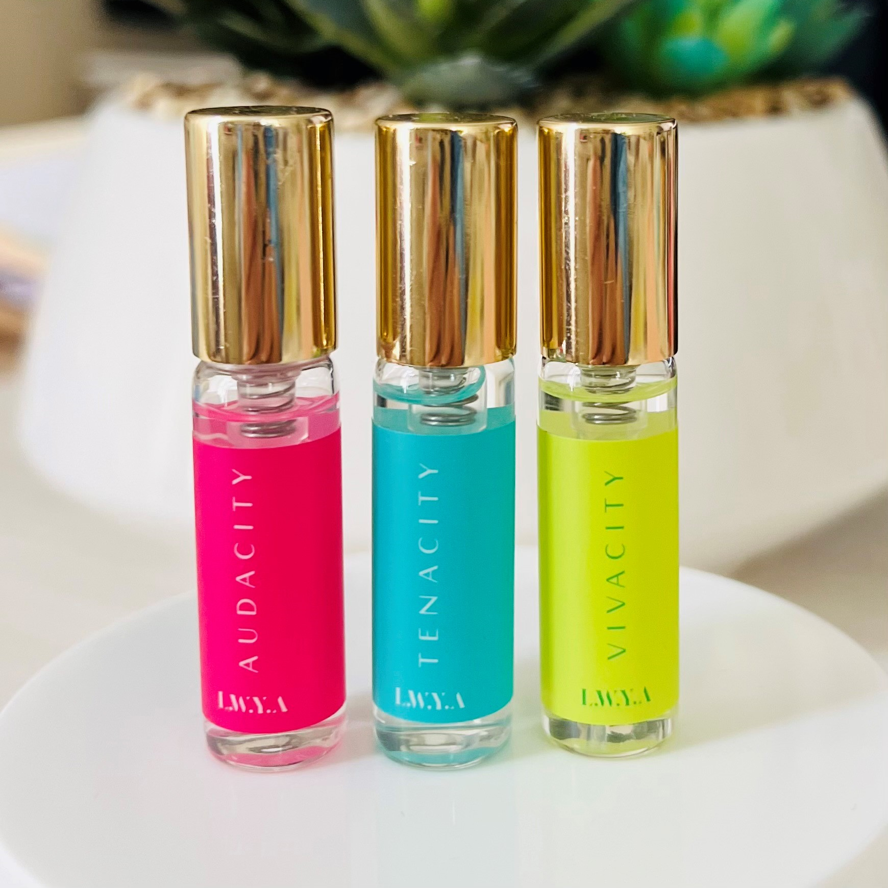 Fragrance Travel Bundle