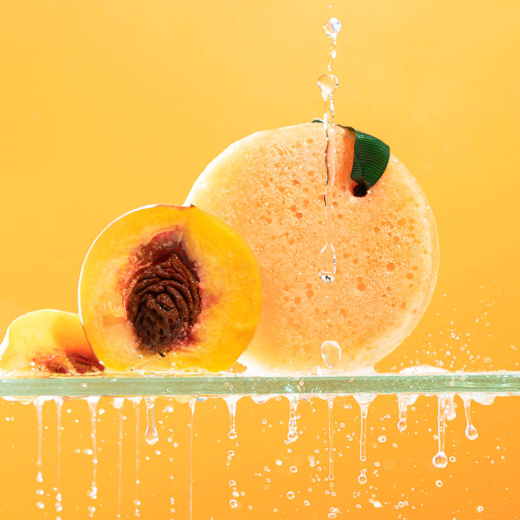 Body Sponges