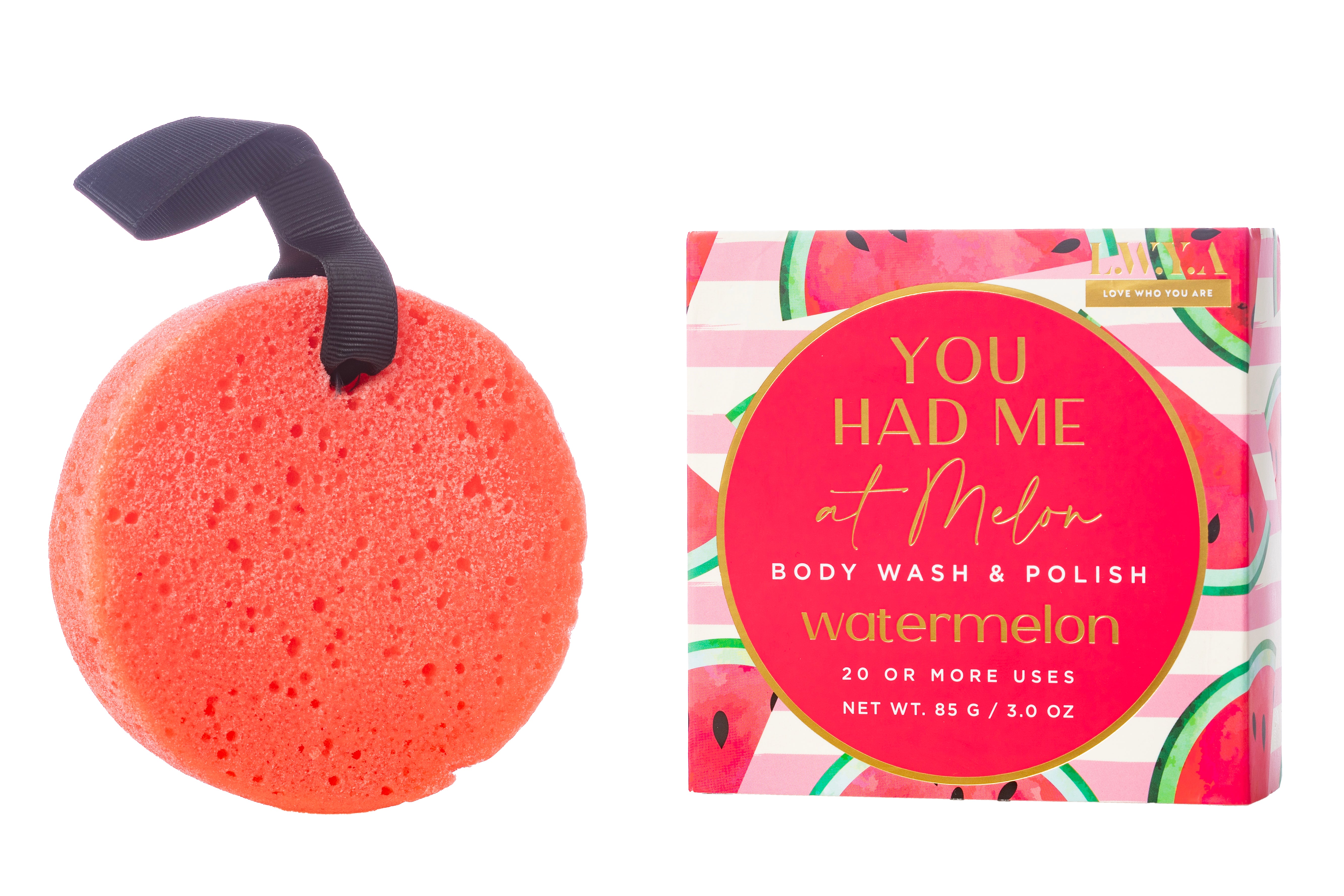 Body Sponges